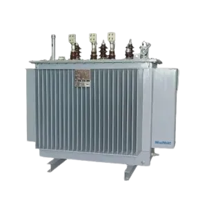 Oil Immersed Transformer