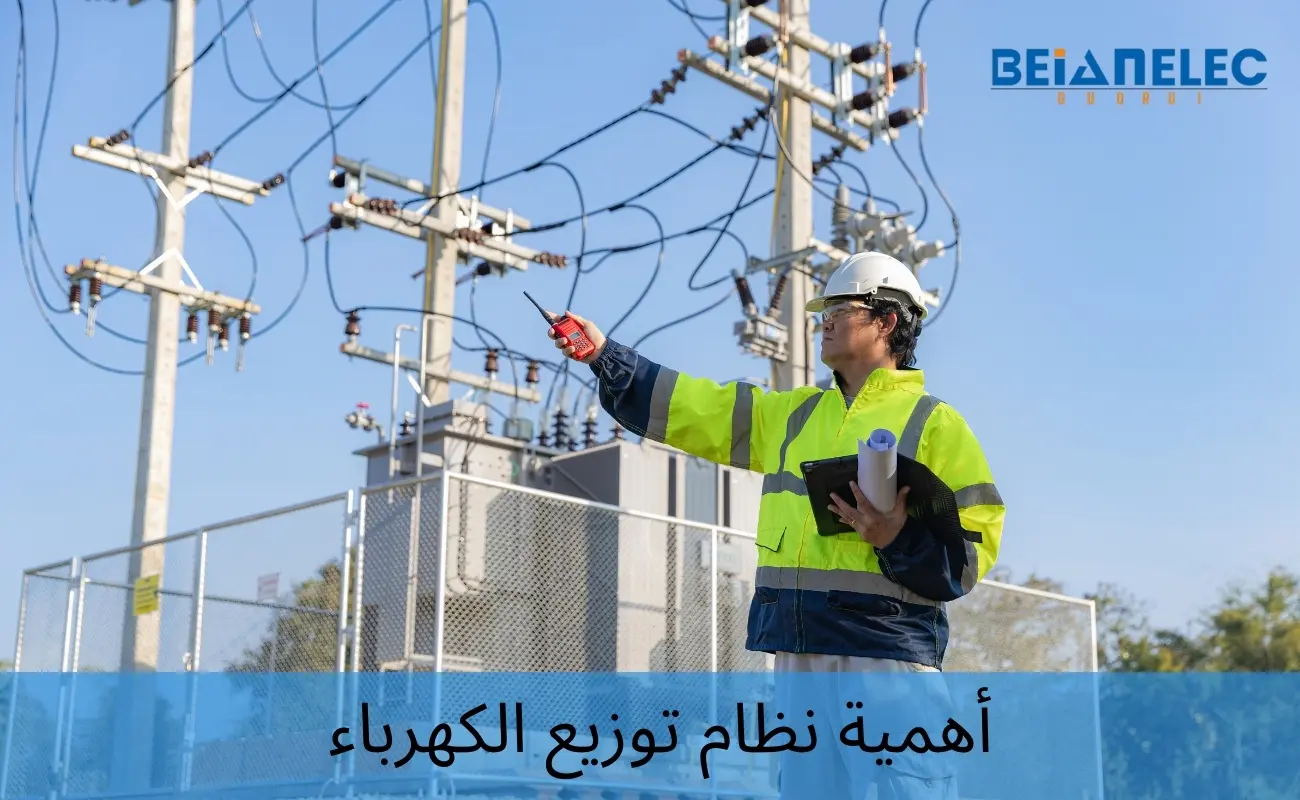 أهمية نظام توزيع الكهرباء: